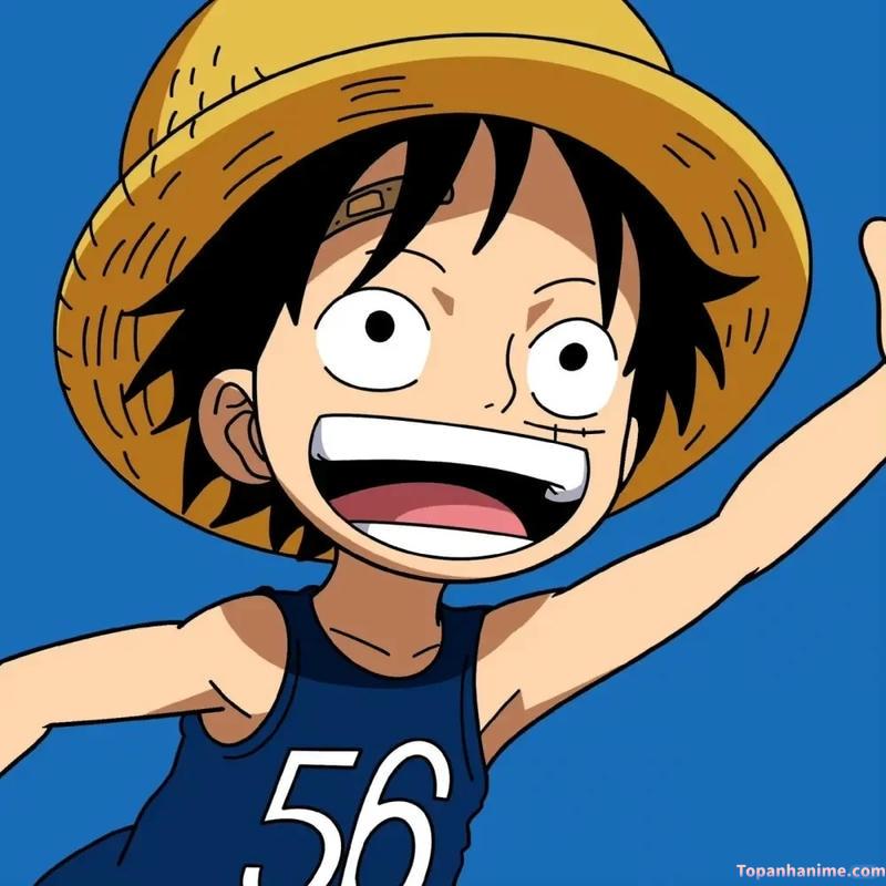 Mẫu ảnh Luffy 2