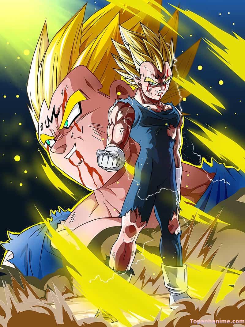 Mẫu Ảnh Vegeta 3