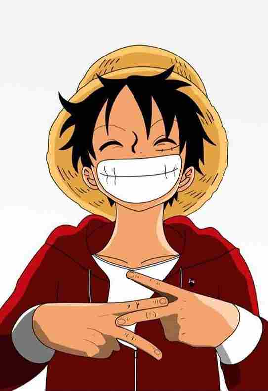 Hình Luffy 12