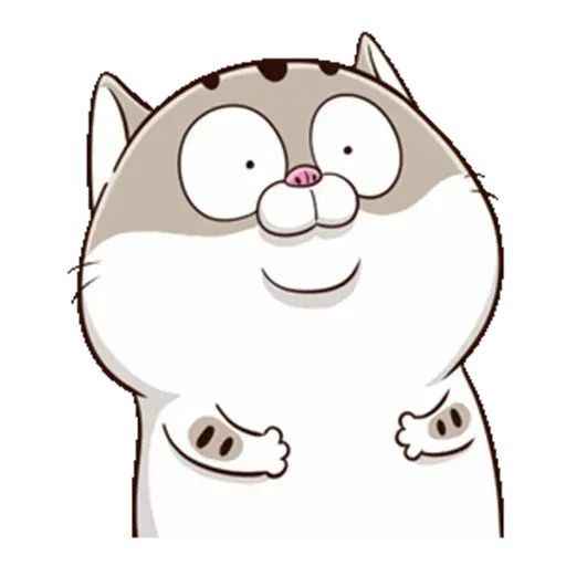 Ảnh Mèo Bựa Cute 15