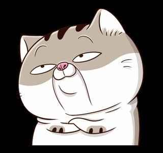 Ảnh Mèo Bựa Cute 14