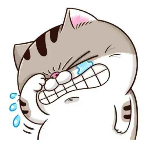 Ảnh Mèo Bựa Cute 3