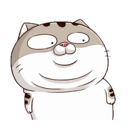 Ảnh Mèo Bựa Cute 6