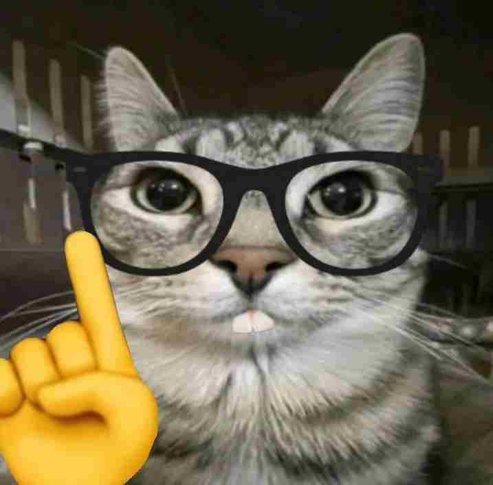 Ảnh Mèo Meme 15