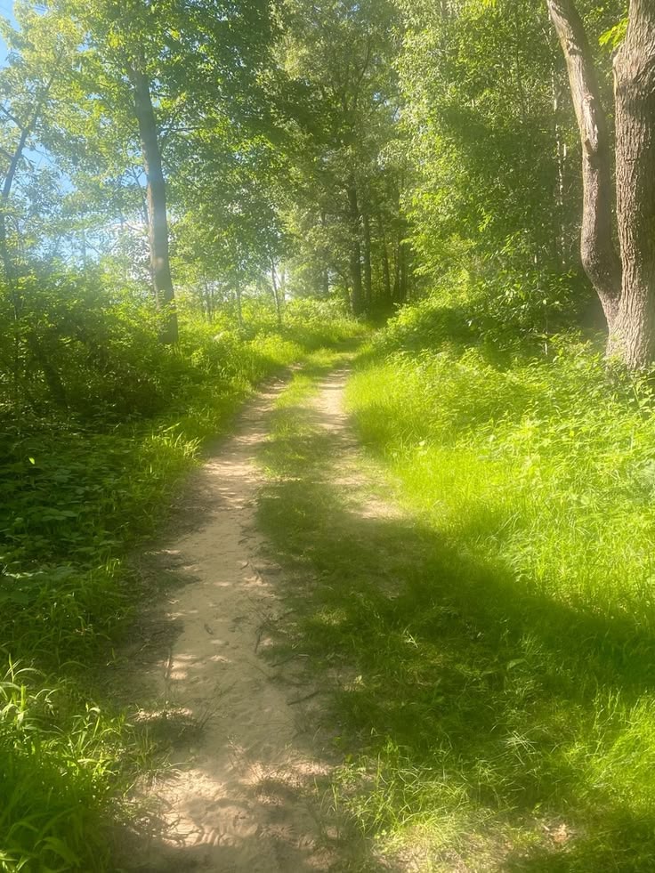 Ảnh phong cảnh chill 16