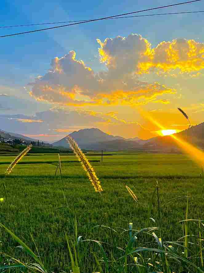 Ảnh phong cảnh chill 18