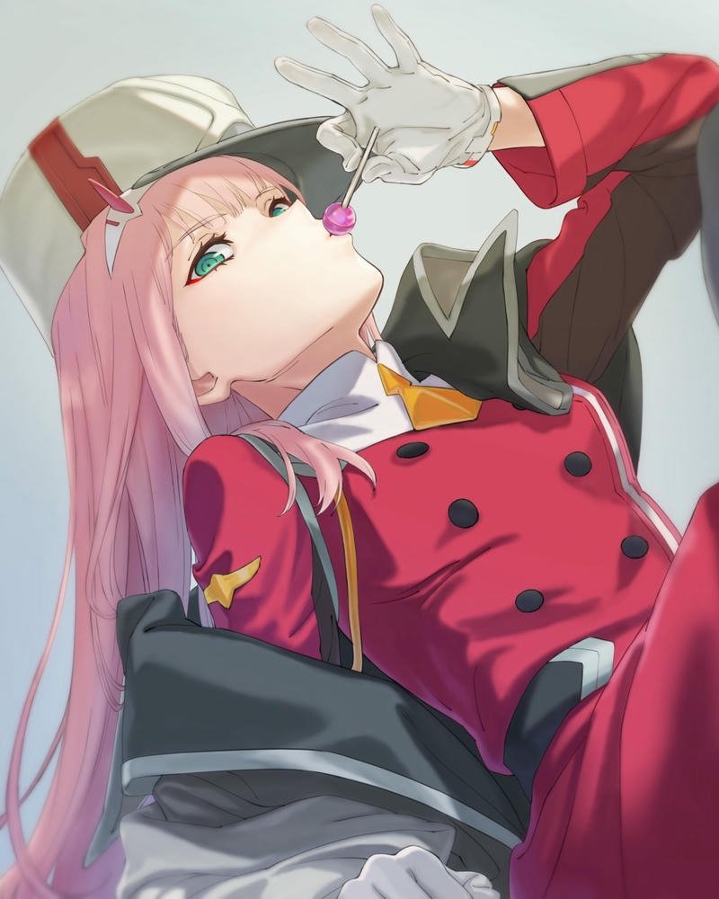 ảnh Zero Two 17
