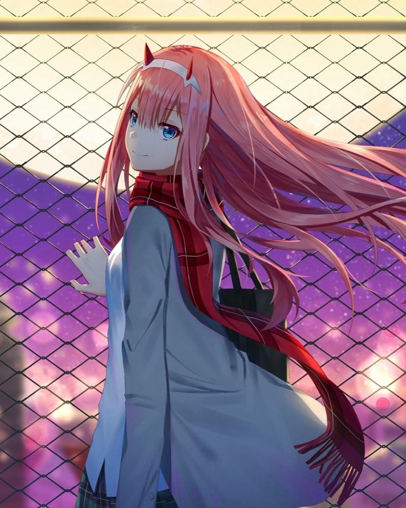 ảnh Zero Two 21