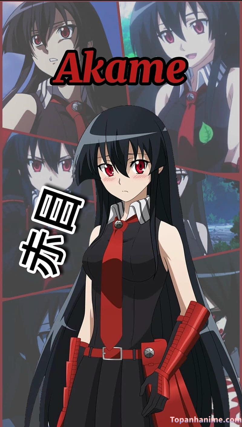 ảnh Akame Ga Kill 31