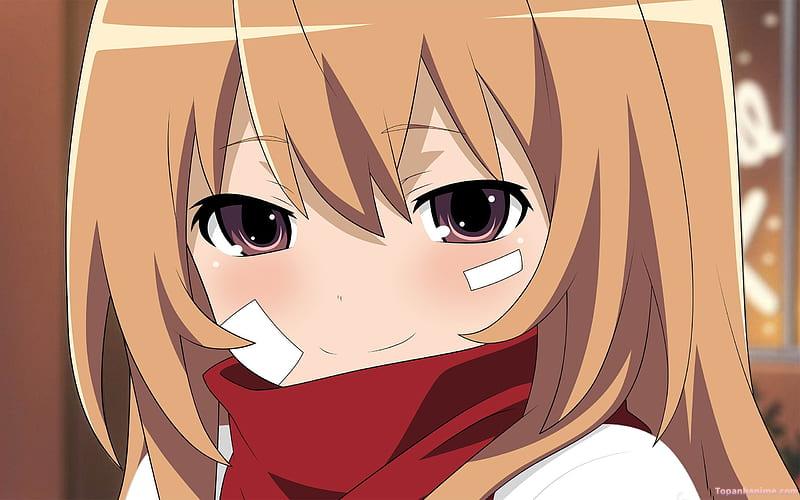 ảnh Taiga Aisaka 29