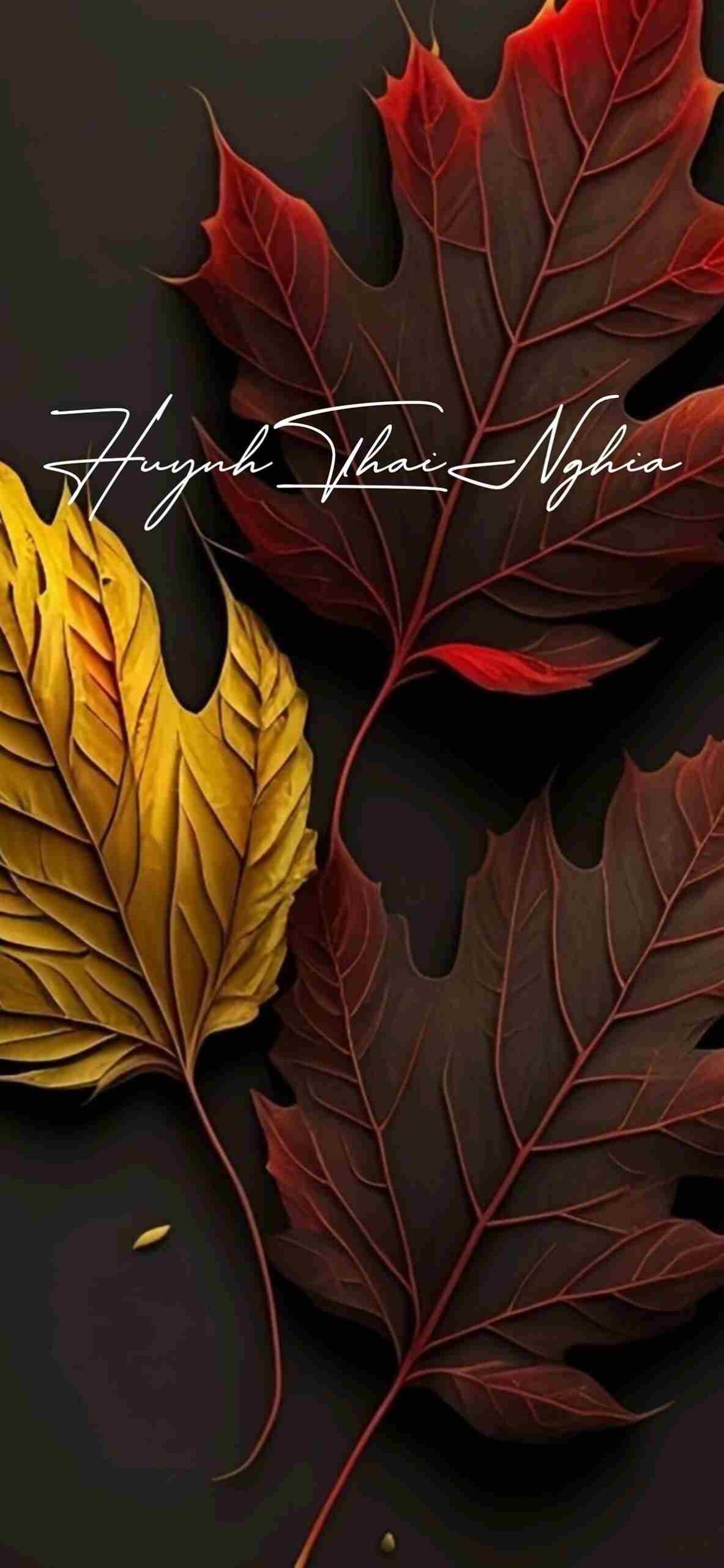 Hình Nền Điện Thoại 5