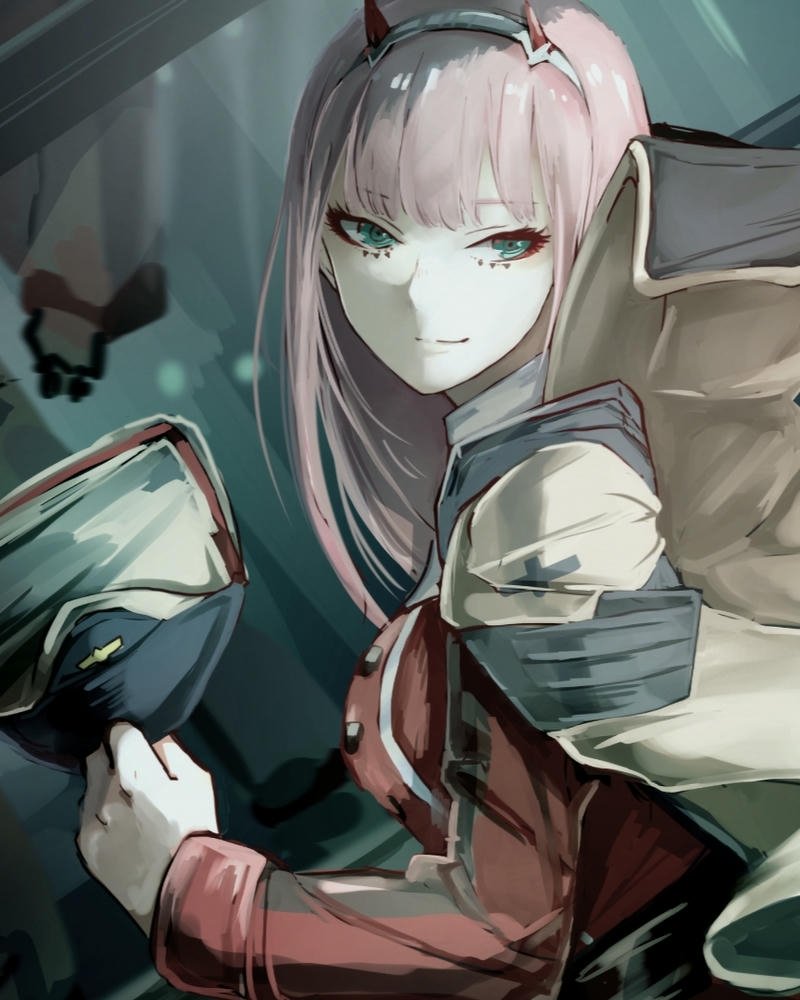 ảnh Zero Two 8