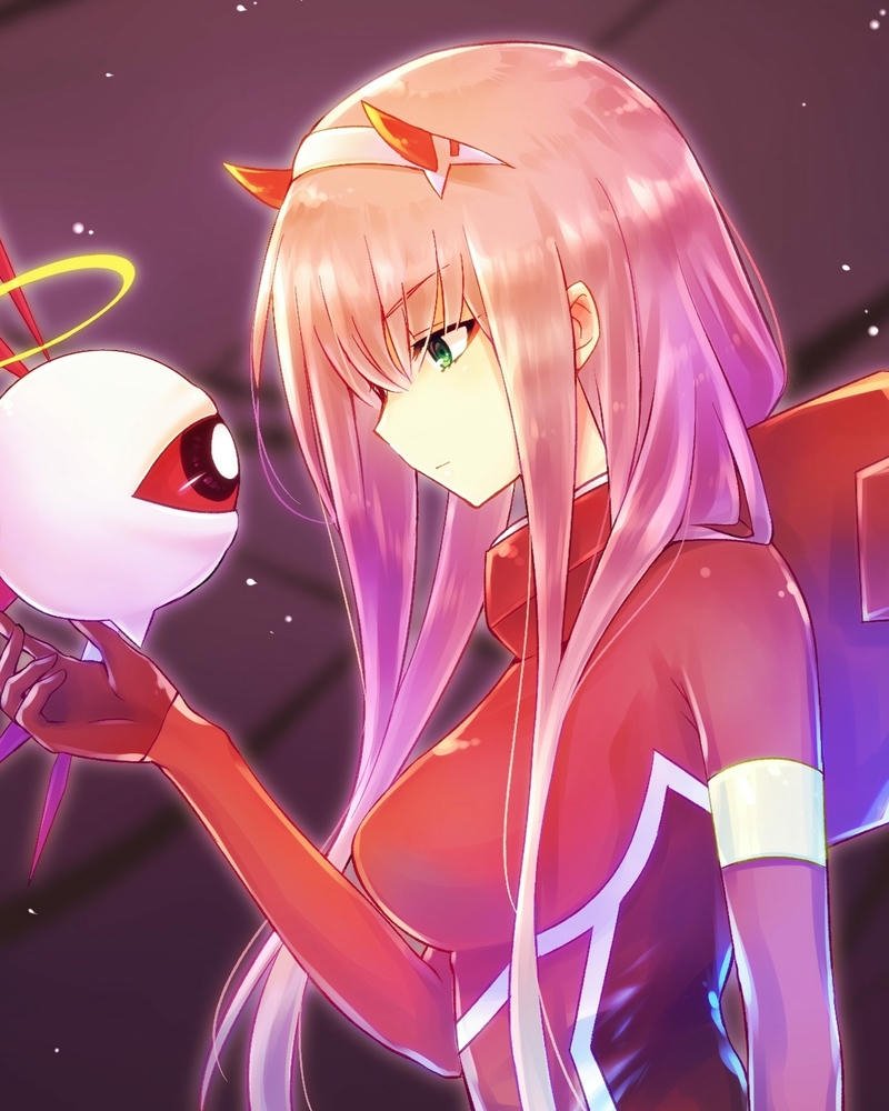 ảnh Zero Two 12