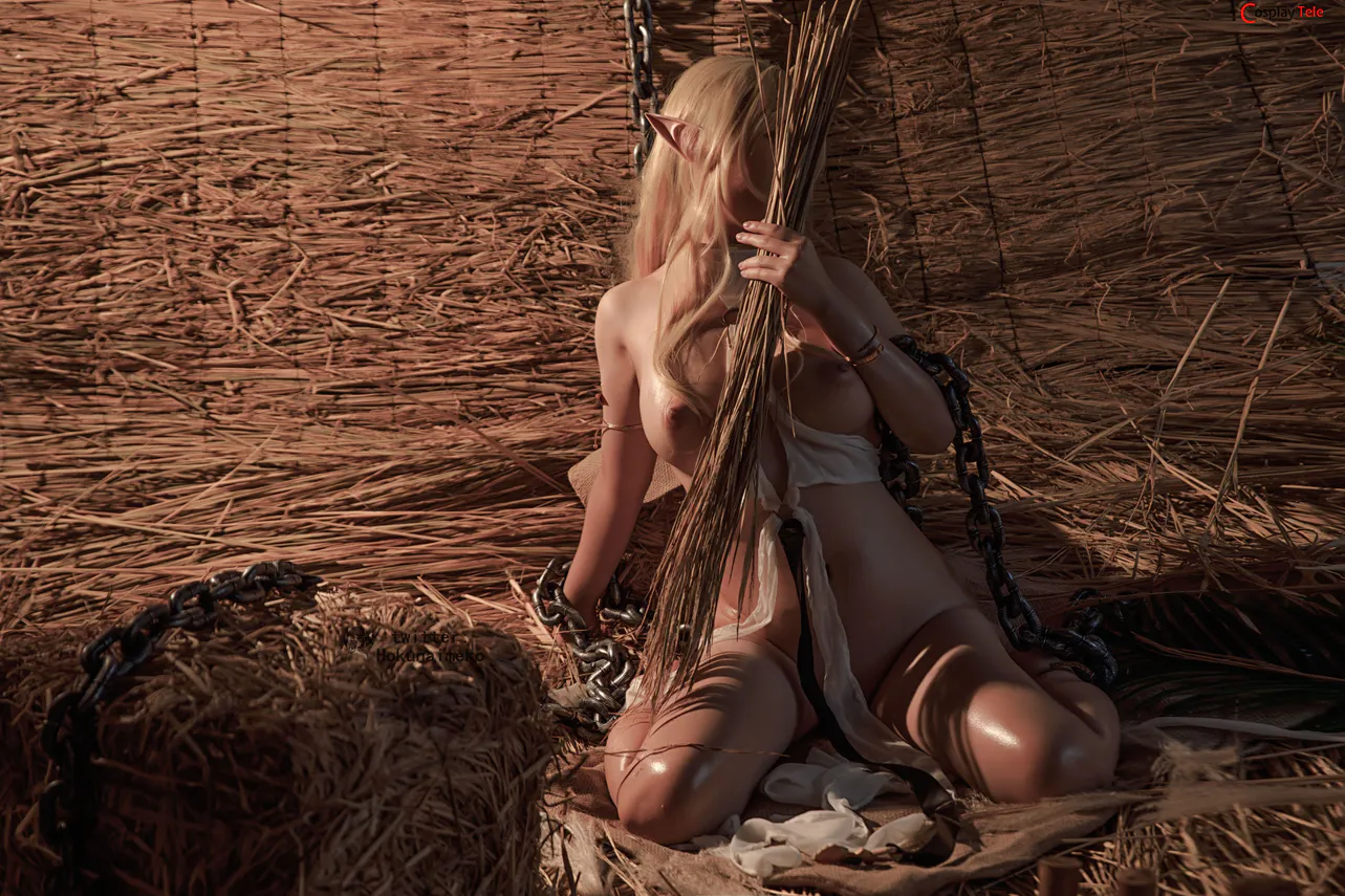 Hokunaimeko cosplay Celestine Lucullus 61