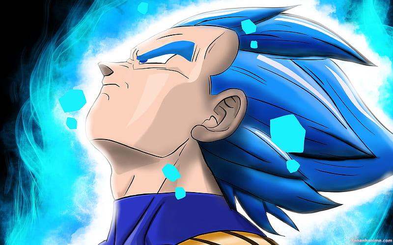 Mẫu Ảnh Vegeta 17