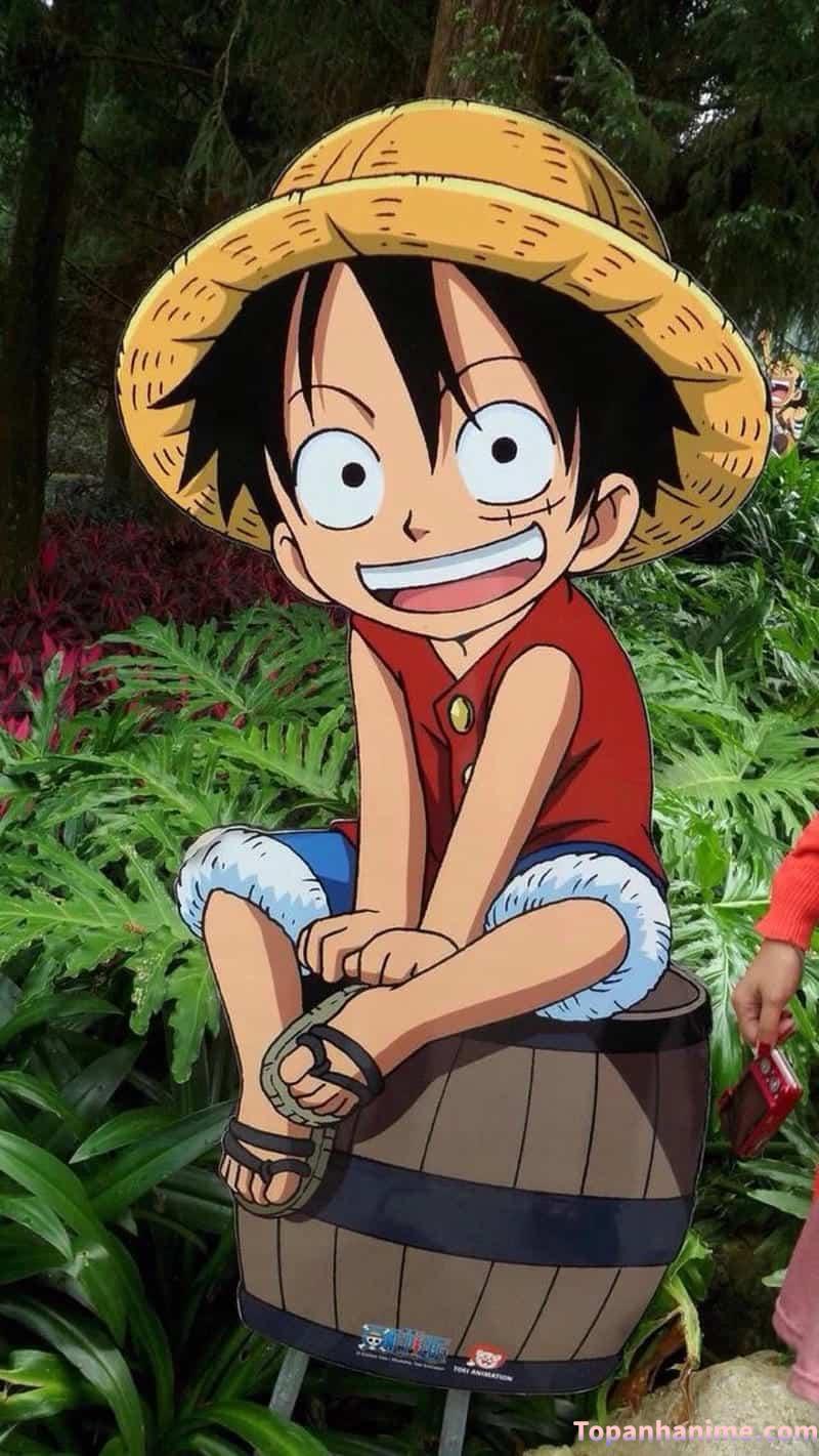 Mẫu ảnh Luffy 16