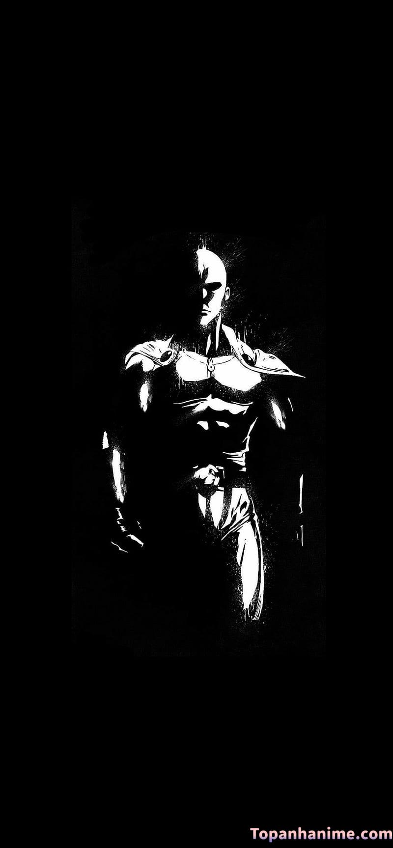 Mẫu ảnh Saitama 23