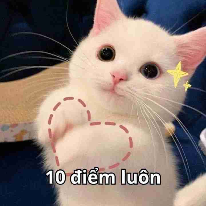 Meme an ủi 10