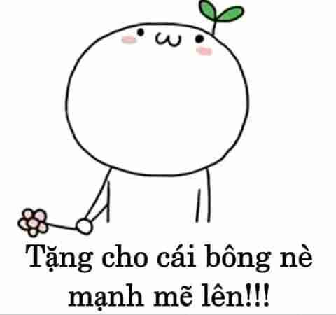 Meme an ủi 12