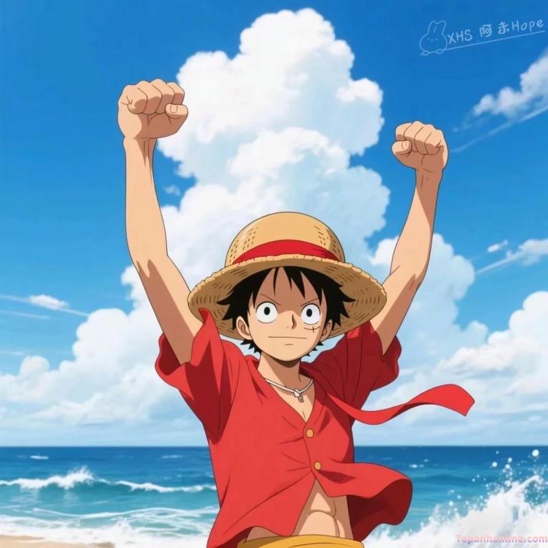 Mẫu ảnh Luffy 22
