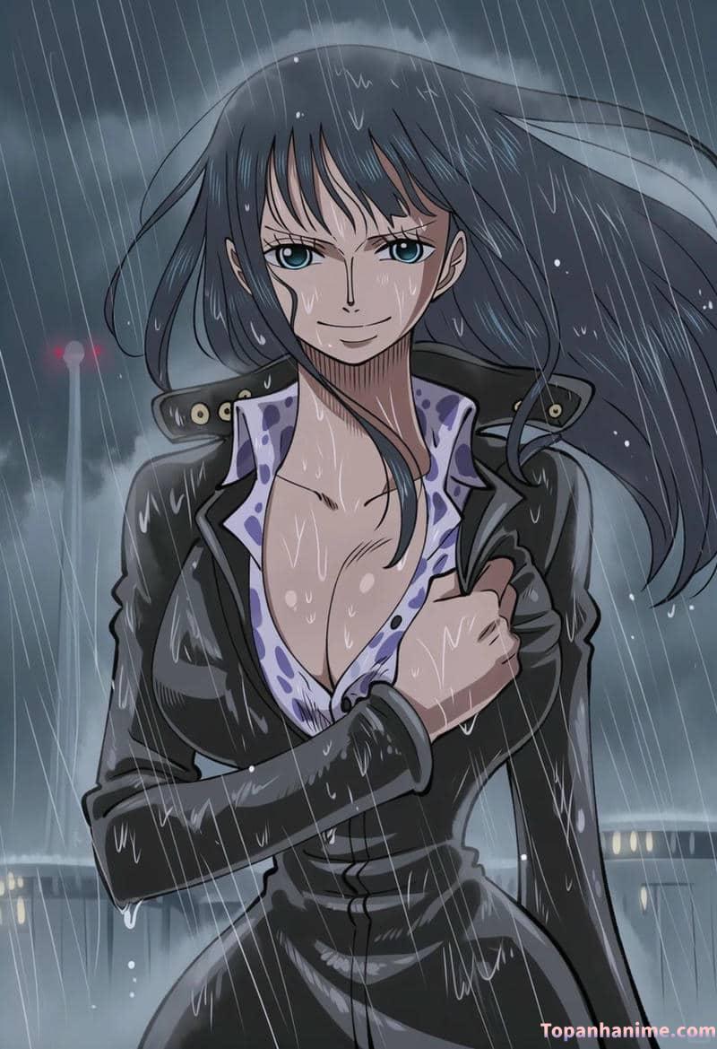Mẫu ảnh Nico Robin 24