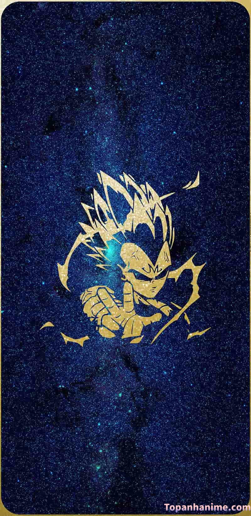 Mẫu Ảnh Vegeta 24