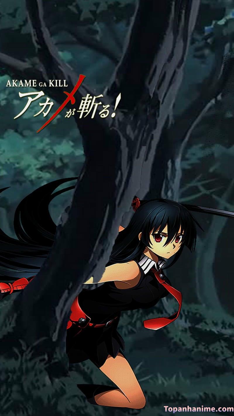 ảnh Akame Ga Kill 13