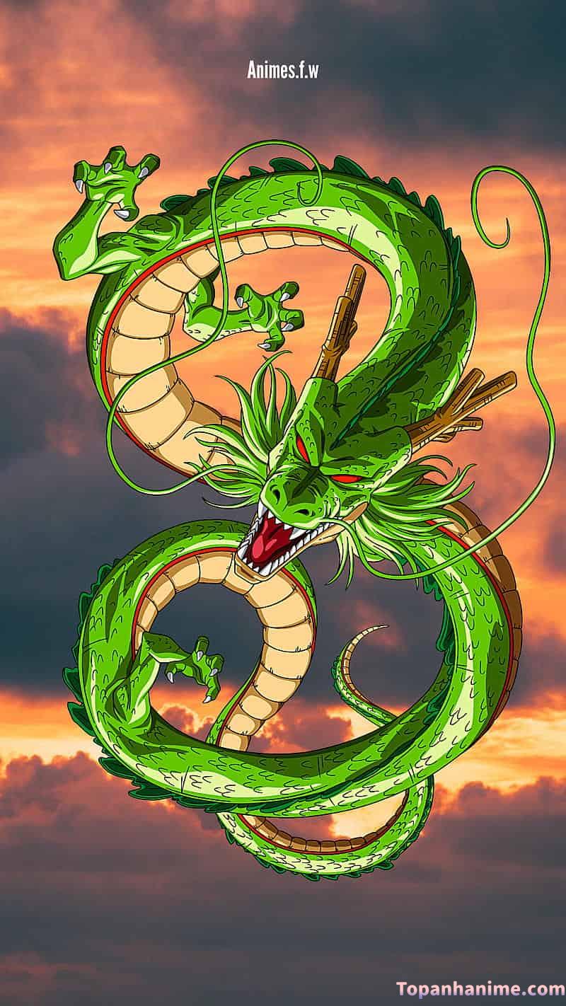 Mẫu ảnh rồng anime 26