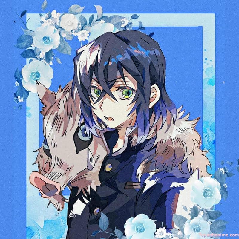 ảnh Inosuke Hashibira 12