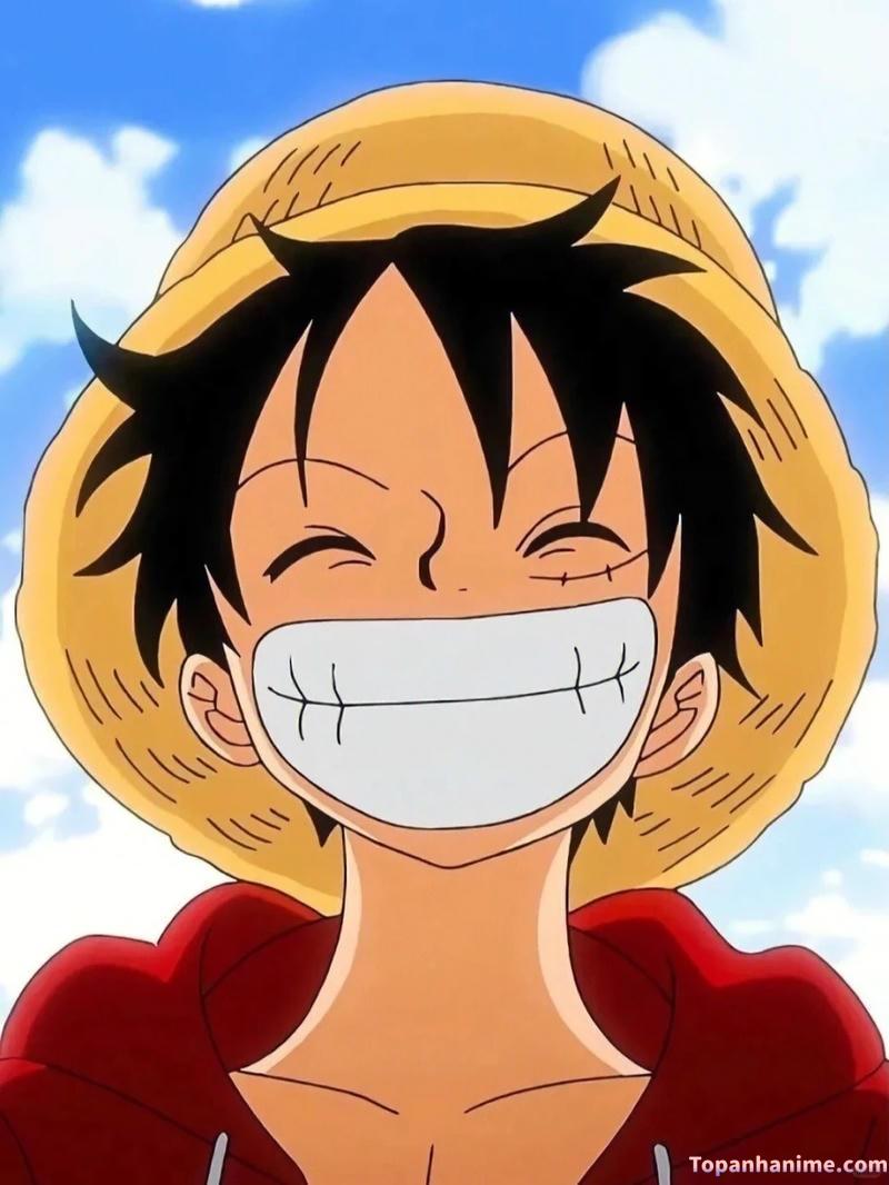 Mẫu ảnh Luffy 29