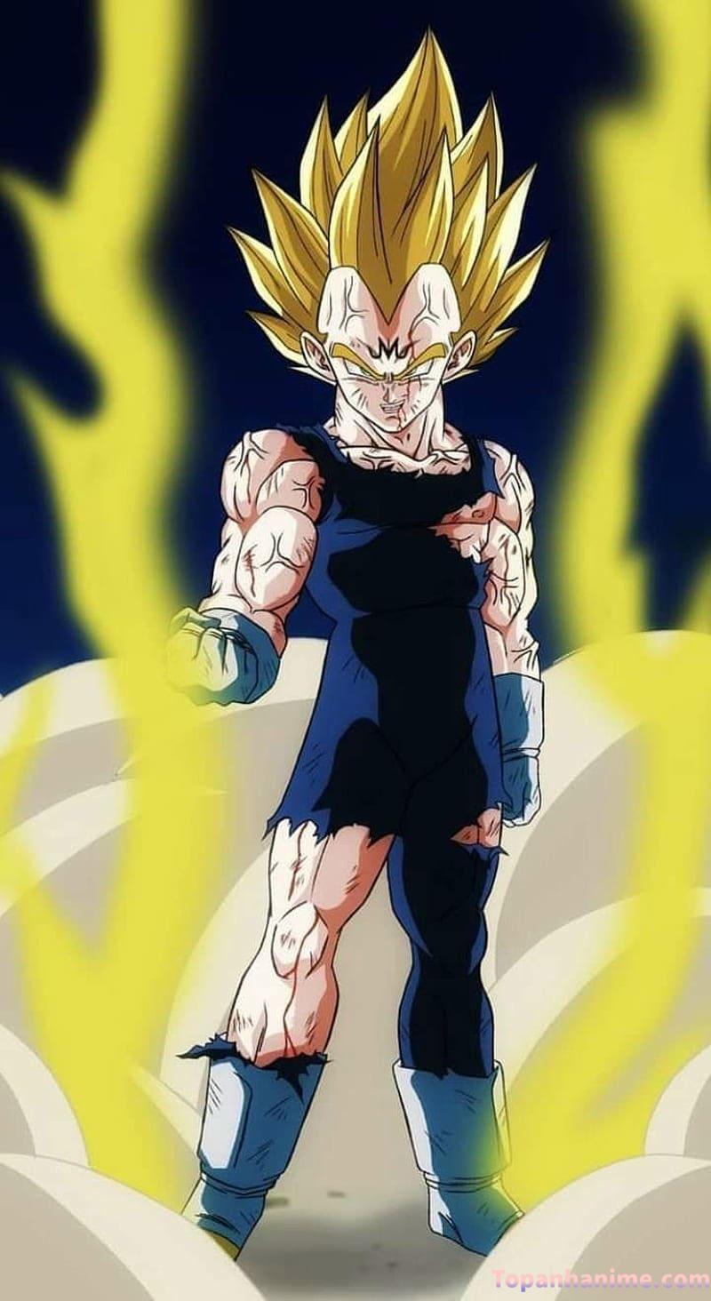 Mẫu Ảnh Vegeta 32
