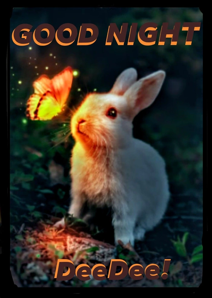 Funny Good Night Images 64