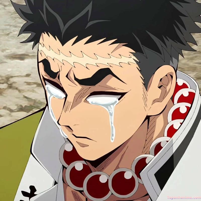 ảnh Gyomei Himejima 2