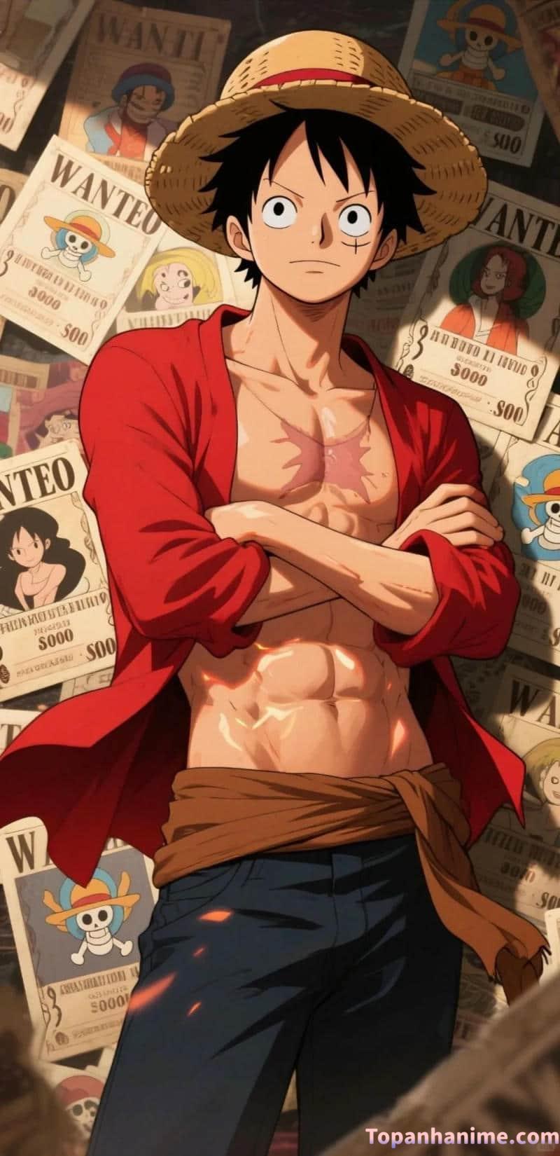 Mẫu ảnh Luffy 35