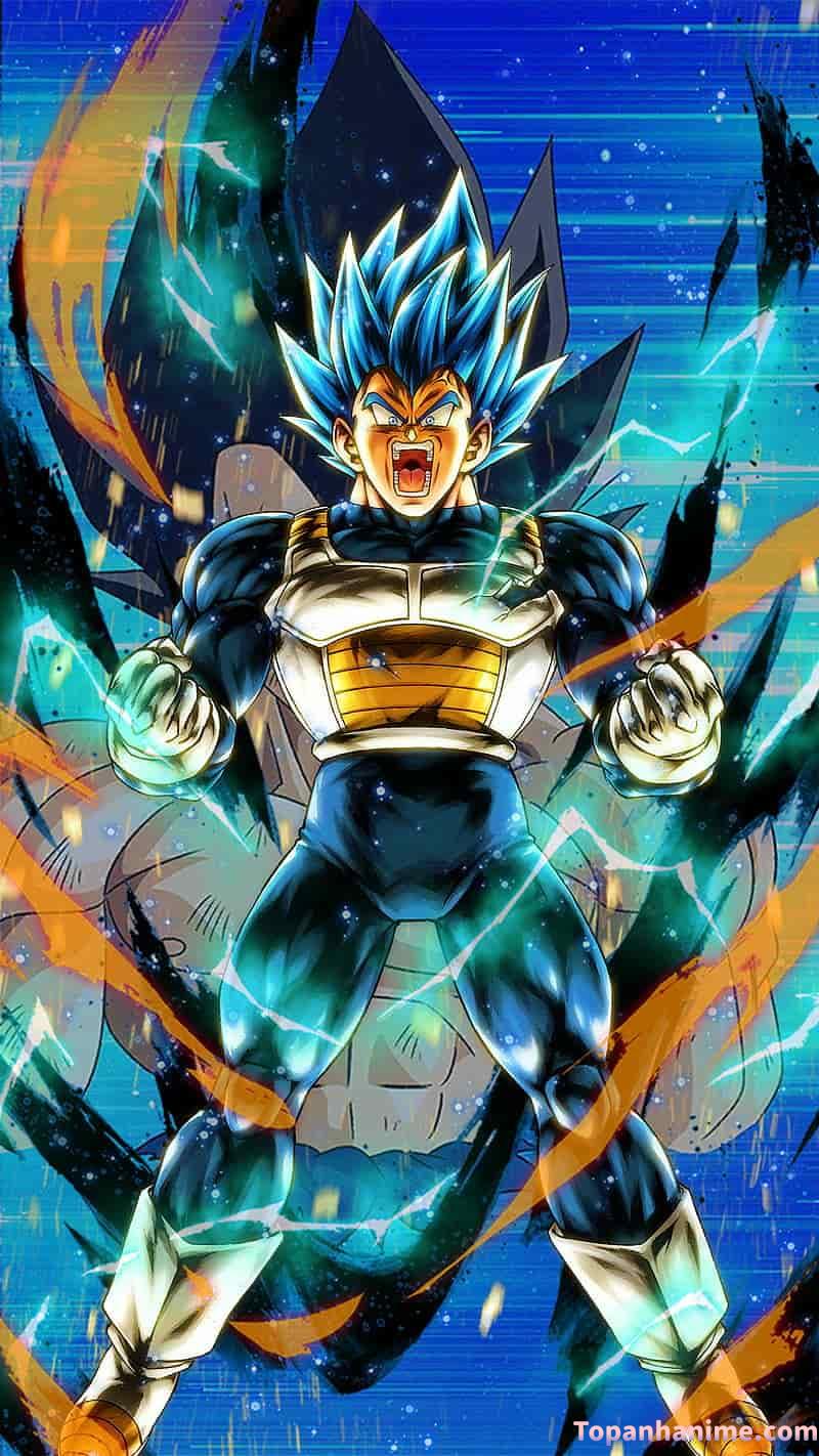 Mẫu Ảnh Vegeta 36