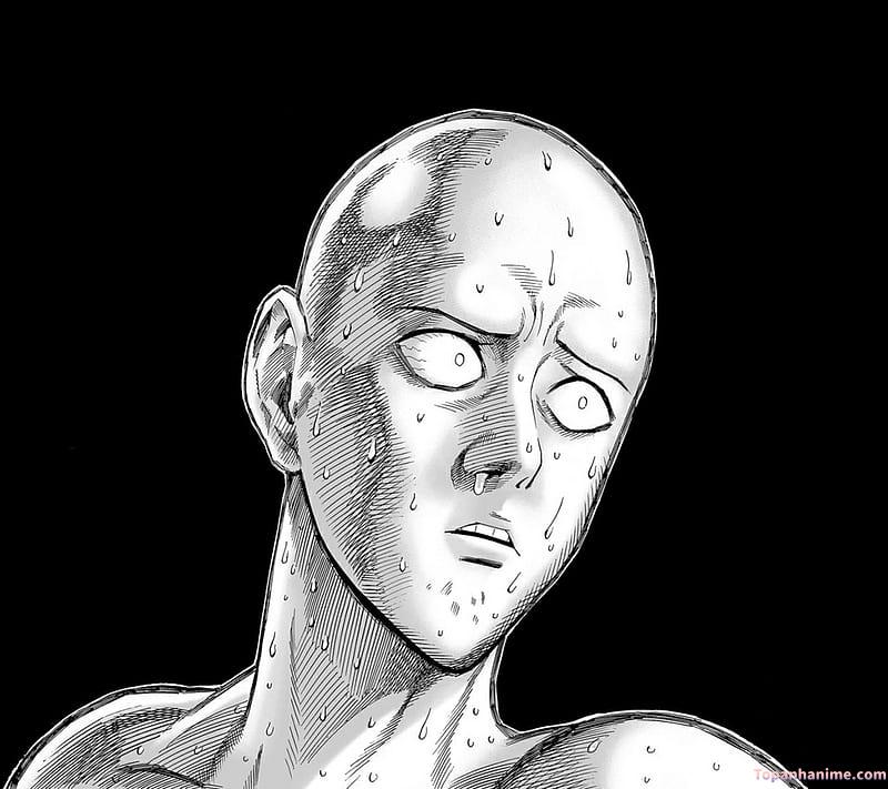 Mẫu ảnh Saitama 40