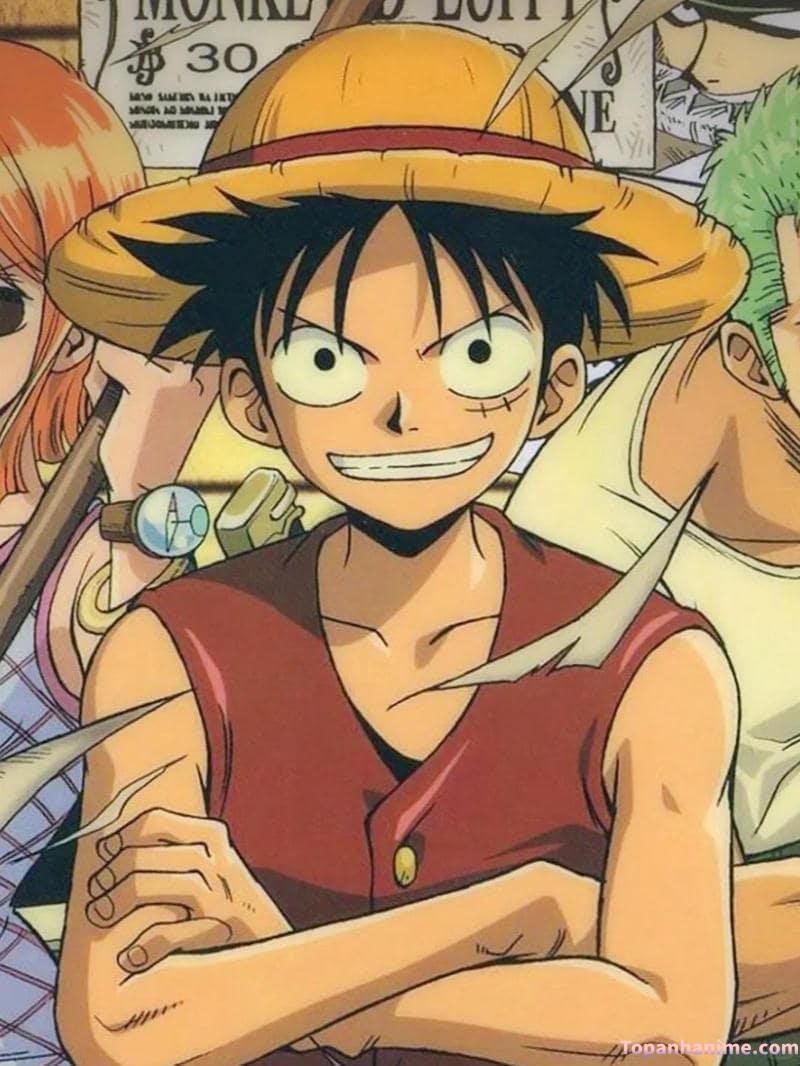 Mẫu ảnh Luffy 36