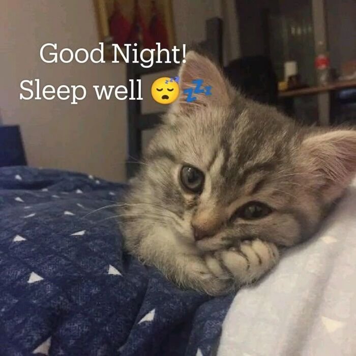 Funny Good Night Images 18