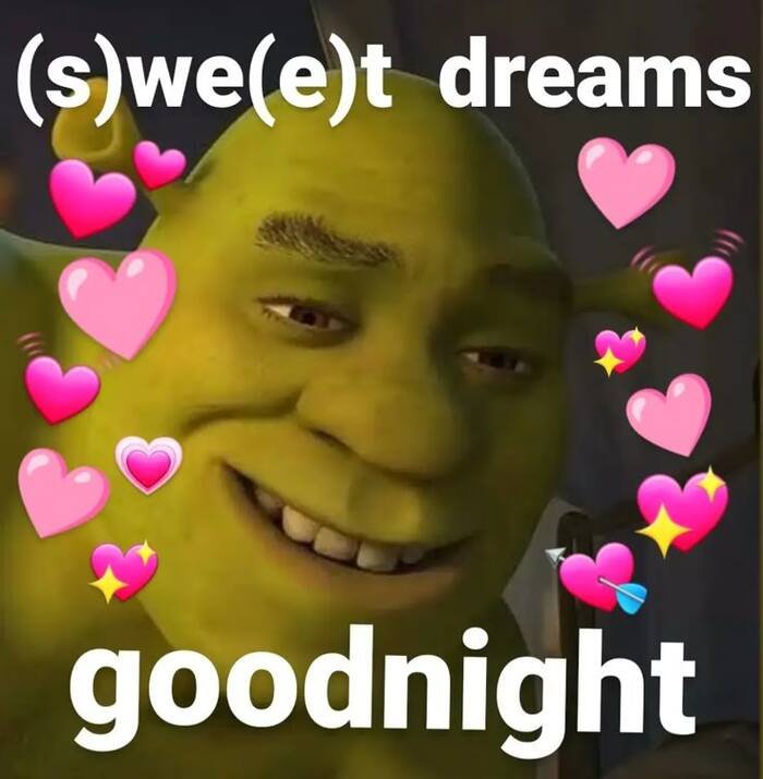 Funny Good Night Images 19