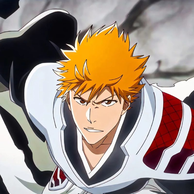 Ảnh Ichigo 11