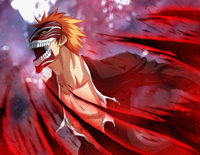 Ảnh Ichigo 23