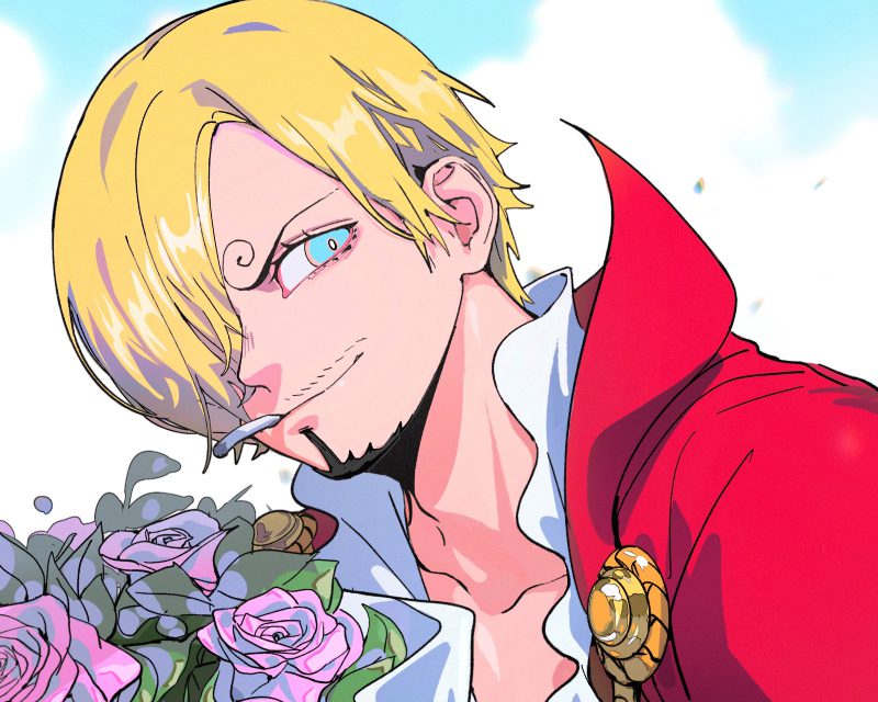 ảnh Sanji 28