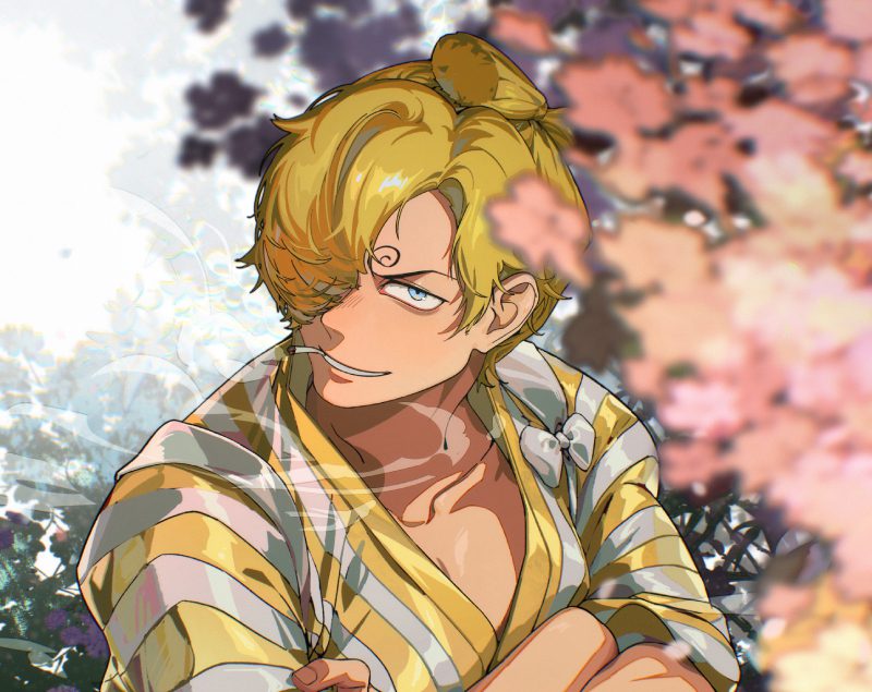 ảnh Sanji 4