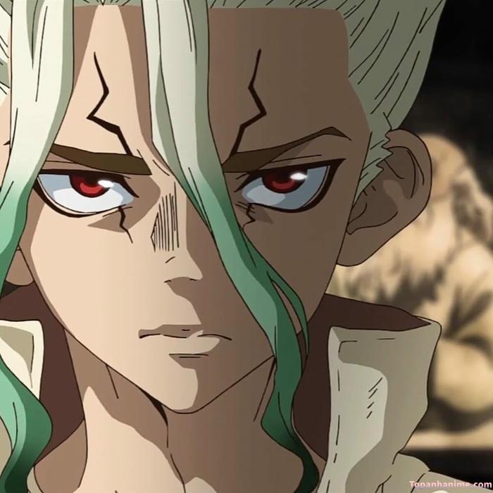 Mẫu ảnh Senku Ishigami 38