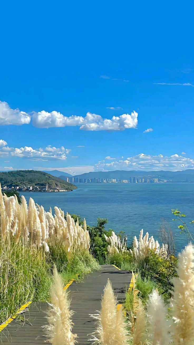 Ảnh Biển Chill 11