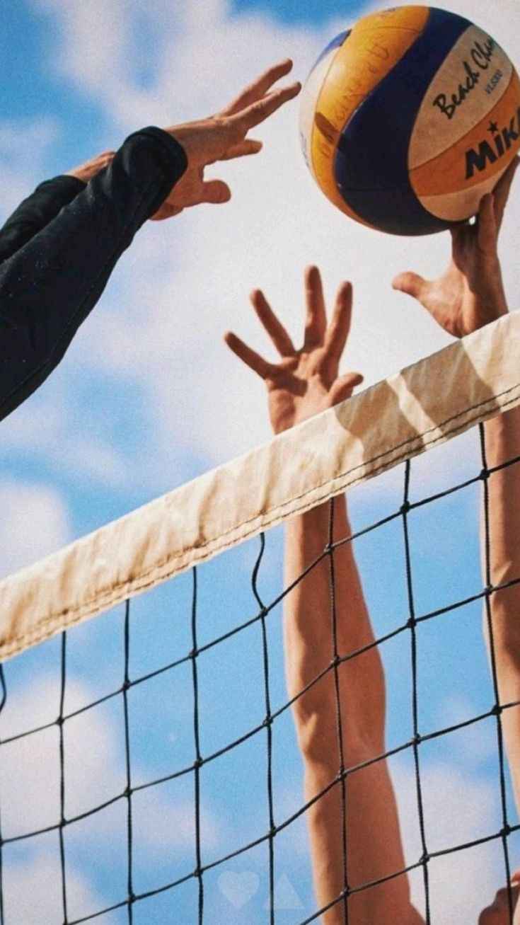 Ảnh bóng chuyền 10