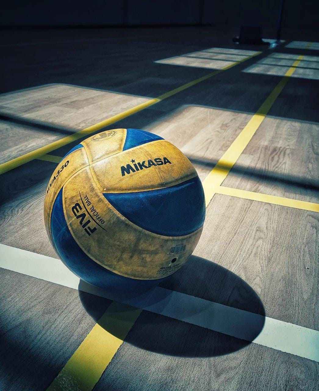 Ảnh bóng chuyền 13