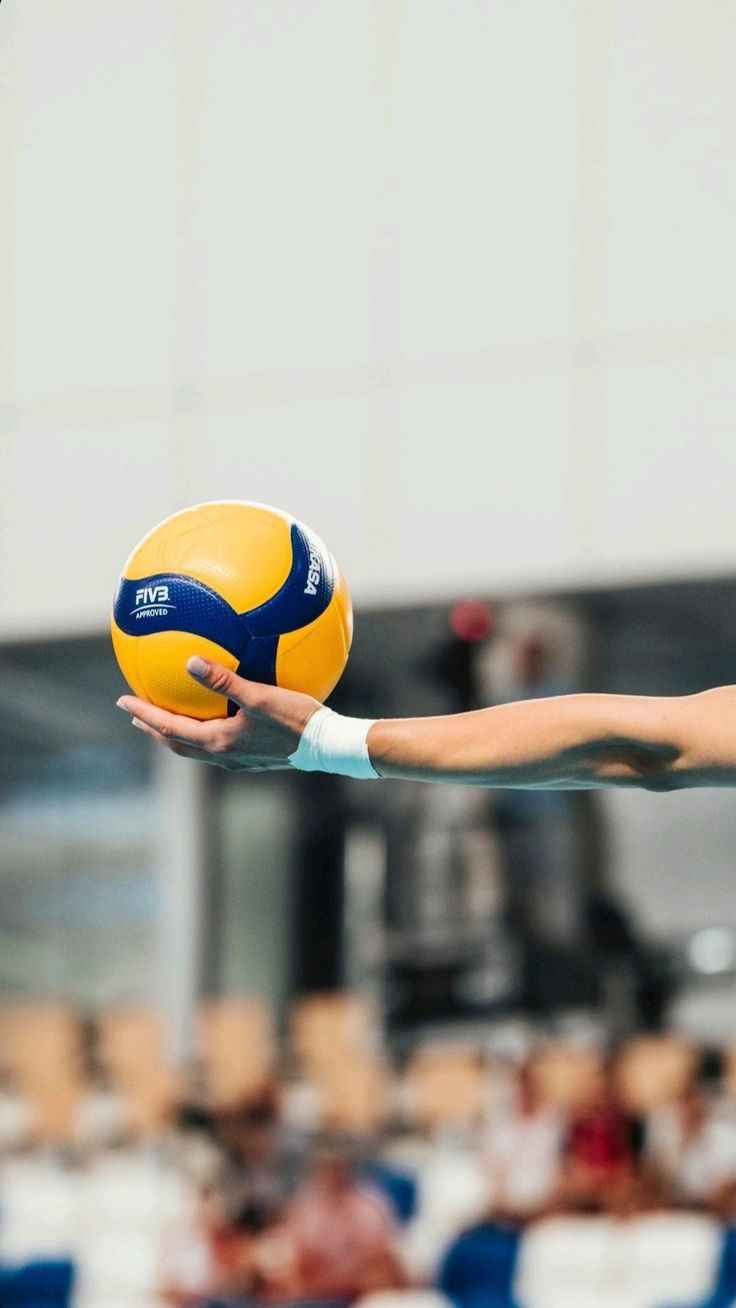 Ảnh bóng chuyền 5