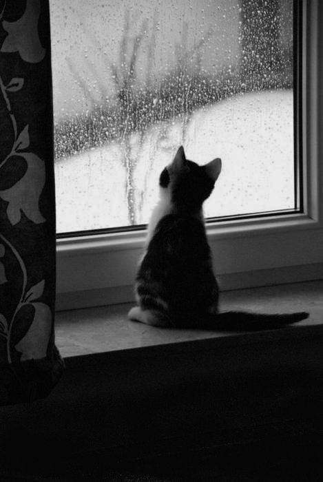 Ảnh Buồn Tâm Trạng 6