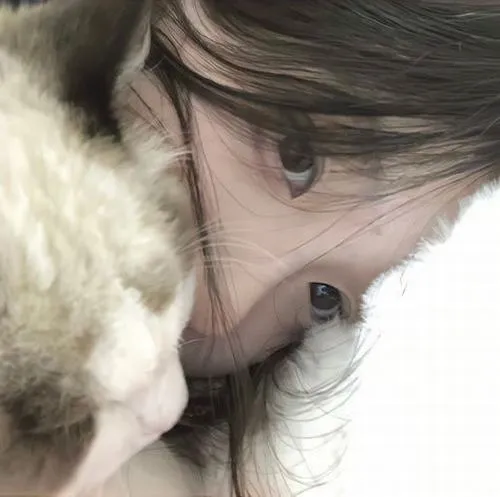 Ảnh Che Mặt Con Gái Avatar Cute 63